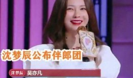 沈梦辰爆料完整版视频,娱乐圈幕后真相大曝光